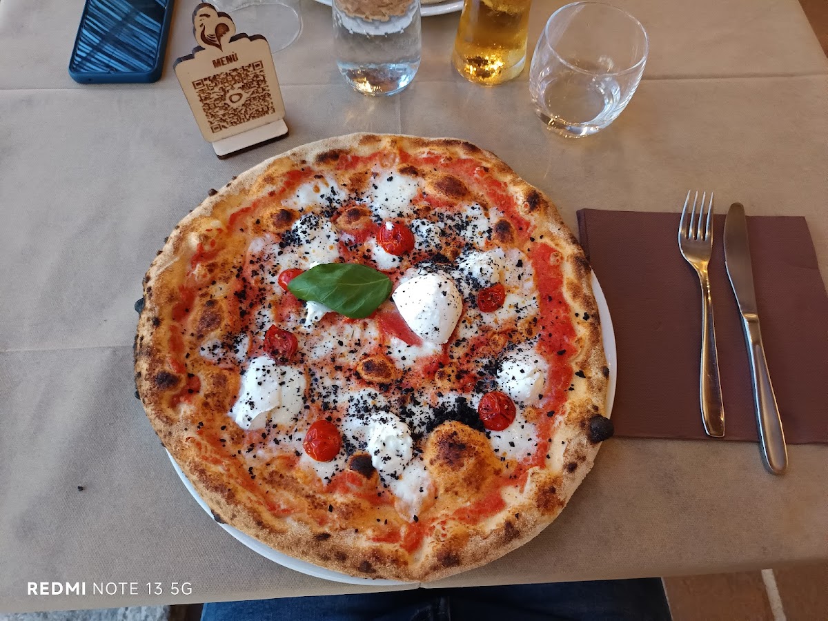 Rooster Masullas Photos 2